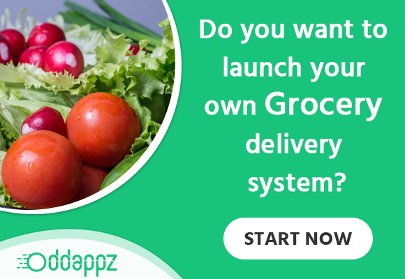 https://www.oddappz.com/grocery-delivery-apps-development website snapshot